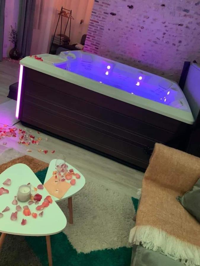Eaudyssee Maison Avec Spa Privee - Loiret Ladon المظهر الخارجي الصورة